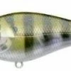 Lucky Craft Kelly J 2 3/4 Inch Topwater Prop Lure