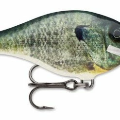 Rapala Scatter Rap Crank Shallow 2 3/4