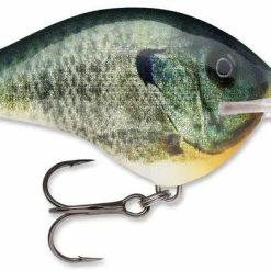 Baits Rapala Dt Series Crankbait Dt14 58 Baits Rapala Dt Series Crankbait Dt14