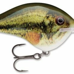 Baits Rapala Dt Series Crankbait Dt14 59 Baits Rapala Dt Series Crankbait Dt14