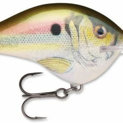 Baits Rapala Dt Series Crankbait Dt14 61 Baits Rapala Dt Series Crankbait Dt14