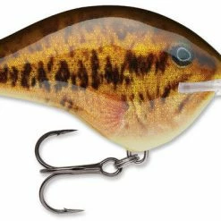 Baits Rapala Dt Series Crankbait Dt14 62 Baits Rapala Dt Series Crankbait Dt14