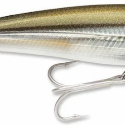 Baits Rapala X-Rap Saltwater Sxr-10 4