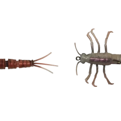 Baits Savage Gear 3D Tpe Mayfly Nymph Soft Plastic Creature
