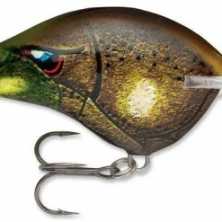 Baits Rapala Dt Series Crankbait Dt16 64 Baits Rapala Dt Series Crankbait Dt16