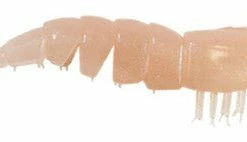 Baits Z Man Ez Shrimpz 3.5