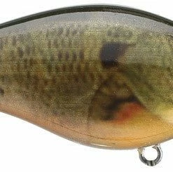 Strike King Kvd Square Bill 1.0 Silent Crankbaits 35 Strike King Kvd Square Bill 1.0 Silent Crankbaits