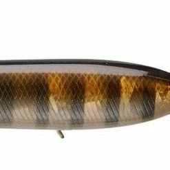 Evergreen International Sb-150