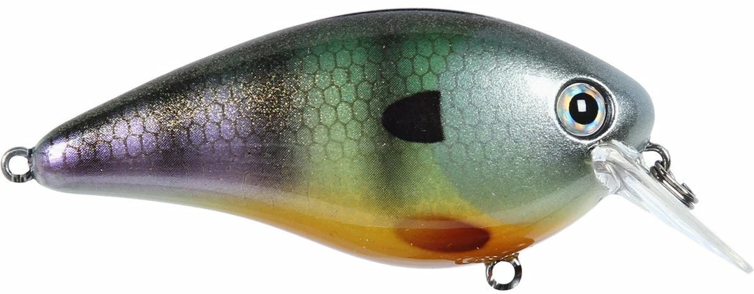 Strike King Kvd Square Bill 1.0 Silent Crankbaits 16 Strike King Kvd Square Bill 1.0 Silent Crankbaits