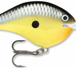 Baits Rapala Dt Series Crankbait Dt Metal 20 28 Baits Rapala Dt Series Crankbait Dt Metal 20