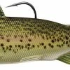 Livetarget Trout Adult Swimbait 7 1/2"