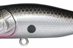 Megabass Pop-X Baits