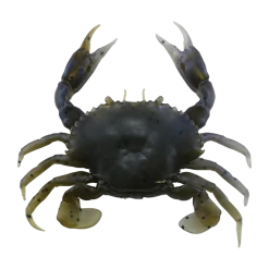 Savage Gear 3D Pvc Crab Sinking Soft Plastic Creature 15 Savage Gear 3D Pvc Crab Sinking Soft Plastic Creature