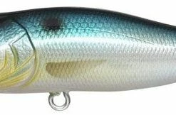 Megabass Pop-X Baits