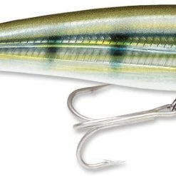 Baits Rapala X-Rap Saltwater Sxr-12 4 3/4