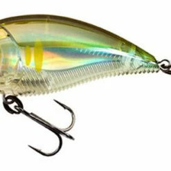 Yo-Zuri 3Db Wake Bait Floating Diver 2 3/4 Inch Shallow Square Bill Crankbait Baits 21 Yo-Zuri 3Db Wake Bait Floating Diver 2 3/4 Inch Shallow Square Bill Crankbait Baits