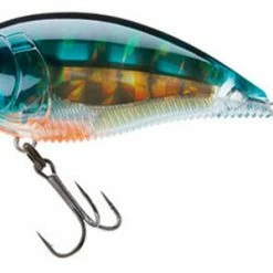 Yo-Zuri 3Db Wake Bait Floating Diver 2 3/4 Inch Shallow Square Bill Crankbait Baits 23 Yo-Zuri 3Db Wake Bait Floating Diver 2 3/4 Inch Shallow Square Bill Crankbait Baits