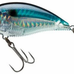Yo-Zuri 3Db Wake Bait Floating Diver 2 3/4 Inch Shallow Square Bill Crankbait Baits 30 Yo-Zuri 3Db Wake Bait Floating Diver 2 3/4 Inch Shallow Square Bill Crankbait Baits
