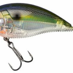 Yo-Zuri 3Db Wake Bait Floating Diver 2 3/4 Inch Shallow Square Bill Crankbait Baits 29 Yo-Zuri 3Db Wake Bait Floating Diver 2 3/4 Inch Shallow Square Bill Crankbait Baits