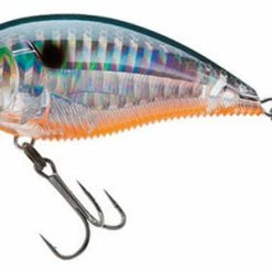 Yo-Zuri 3Db Wake Bait Floating Diver 2 3/4 Inch Shallow Square Bill Crankbait Baits 31 Yo-Zuri 3Db Wake Bait Floating Diver 2 3/4 Inch Shallow Square Bill Crankbait Baits