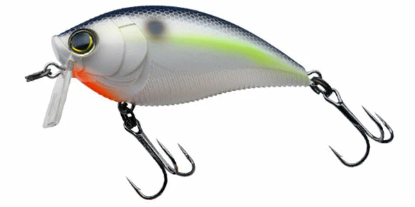 Yo-Zuri 3Db Wake Bait Floating Diver 2 3/4 Inch Shallow Square Bill Crankbait Baits 17 Yo-Zuri 3Db Wake Bait Floating Diver 2 3/4 Inch Shallow Square Bill Crankbait Baits