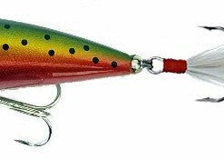 Don Iovino Baits Don Iovino Splash It