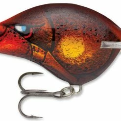 Baits Rapala Dt Series Crankbait Dt16 75 Baits Rapala Dt Series Crankbait Dt16