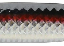 P-Line Sassin Jig 3Oz Spoons