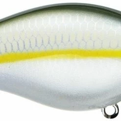 Strike King Kvd Square Bill 1.0 Silent Crankbaits 41 Strike King Kvd Square Bill 1.0 Silent Crankbaits