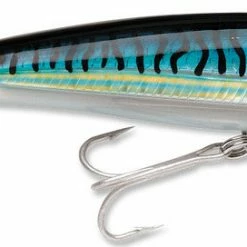 Baits Rapala X-Rap Saltwater Sxr-10 4