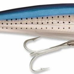 Baits Rapala X-Rap Saltwater Sxr-08 3 1/8