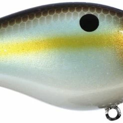 Strike King Kvd Square Bill 1.0 Silent Crankbaits 43 Strike King Kvd Square Bill 1.0 Silent Crankbaits