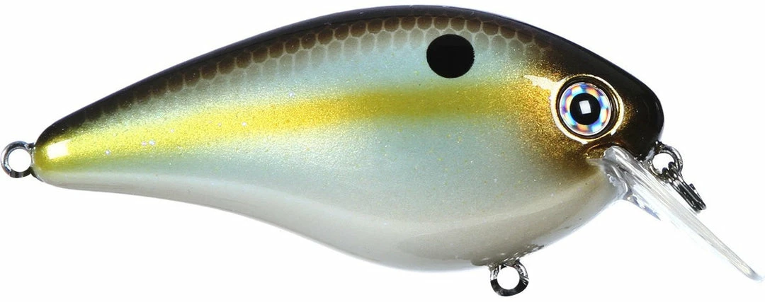 Strike King Kvd Square Bill 1.0 Silent Crankbaits 22 Strike King Kvd Square Bill 1.0 Silent Crankbaits