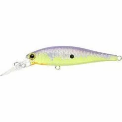 Baits Lucky Craft Pointer 65 Deep Diver