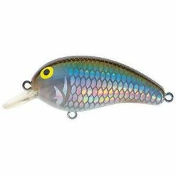 Baits Daiwa Peanut Medium Diving Crankbait 11 Baits Daiwa Peanut Medium Diving Crankbait