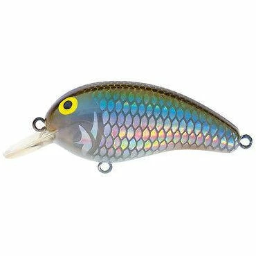 Baits Daiwa Peanut Medium Diving Crankbait 6 Baits Daiwa Peanut Medium Diving Crankbait