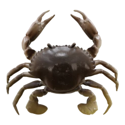 Baits Savage Gear 3D Tpe Crab Soft Plastic Creature