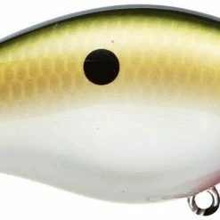 Strike King Kvd Square Bill 1.0 Silent Crankbaits 44 Strike King Kvd Square Bill 1.0 Silent Crankbaits