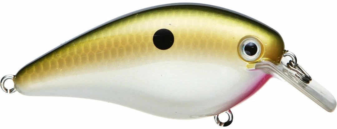 Strike King Kvd Square Bill 1.0 Silent Crankbaits 23 Strike King Kvd Square Bill 1.0 Silent Crankbaits