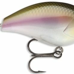 Baits Storm Arashi Silent Square Bill 2 3/8