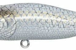 Megabass Pop-X Baits