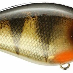 Strike King Kvd Square Bill 1.0 Silent Crankbaits 45 Strike King Kvd Square Bill 1.0 Silent Crankbaits