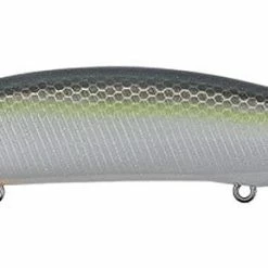 Duo International Duo Realis Suspending Jerkbait 110SP