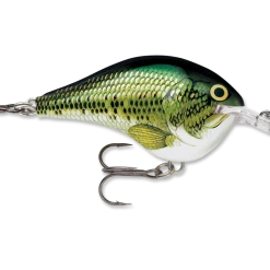 Rapala Dt Series Crankbait Dt6