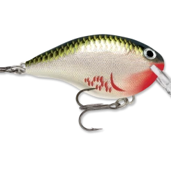 Rapala Dt Series Crankbait Dt4