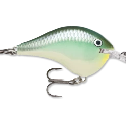Rapala Dt Series Crankbait Dt6