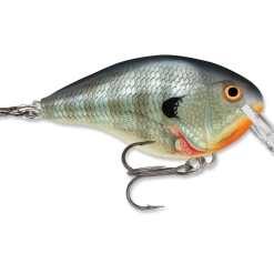 Rapala Dt Series Crankbait Dt4