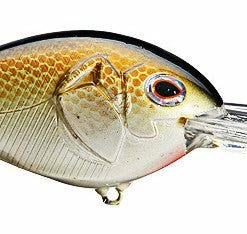Castaic Boyd Duckett Bd12 Crankbaits