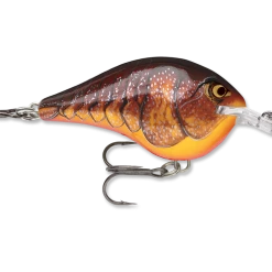 Rapala Dt Series Crankbait Dt6