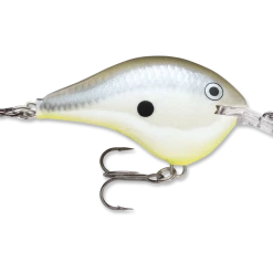 Rapala Dt Series Crankbait Dt6